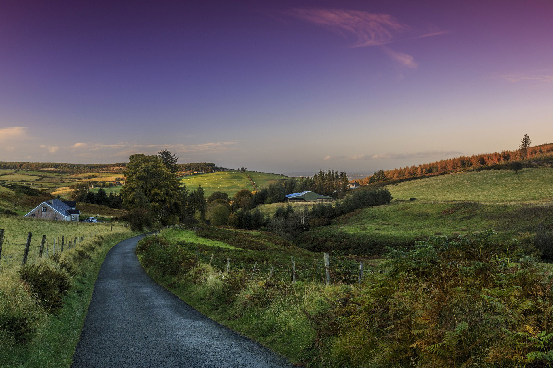 landscape.jpg